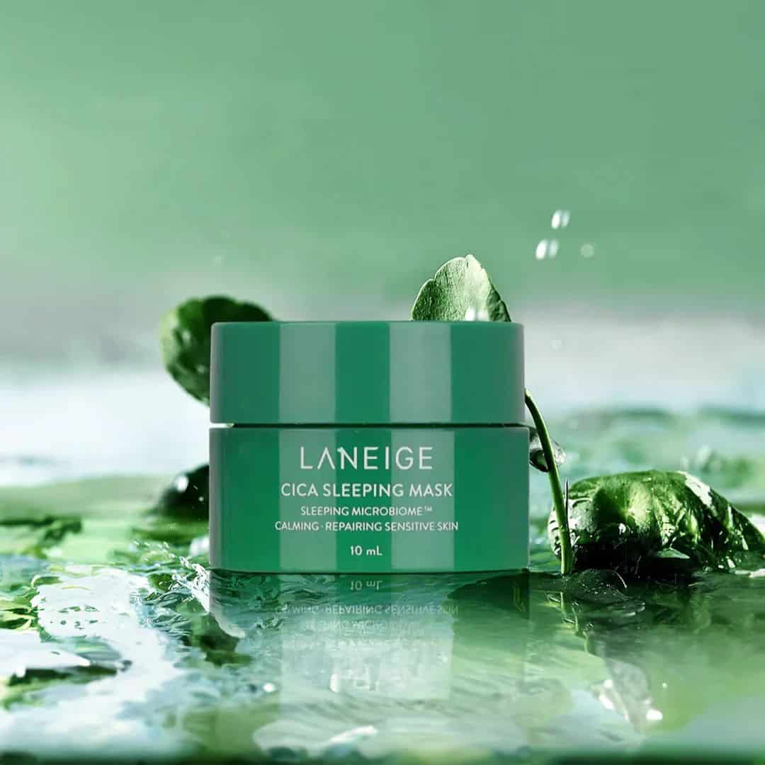 Laneige Cica Sleeping Mask jar with green leaves on a water background